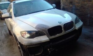 101701869_137687554569541_6547138696184432553_n_137687551236208