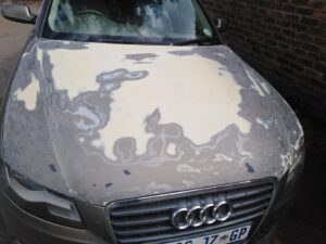 164369335_268245304847098_1173445392210943747_n_268245301513765