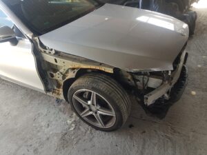 96949774_128064772198486_7429831627196334080_n_128064765531820